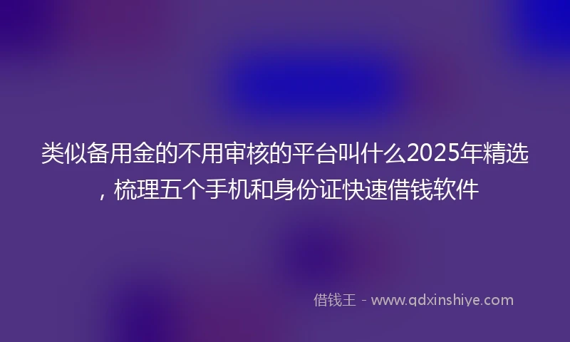 类似备用金的不用审核的平台叫什么2025年精选，梳理五个手机和身份证快速借钱软件