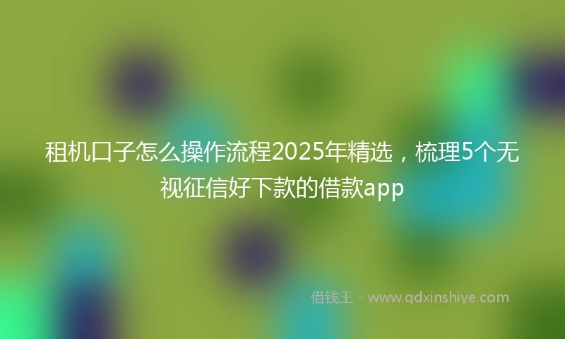 租机口子怎么操作流程2025年精选，梳理5个无视征信好下款的借款app