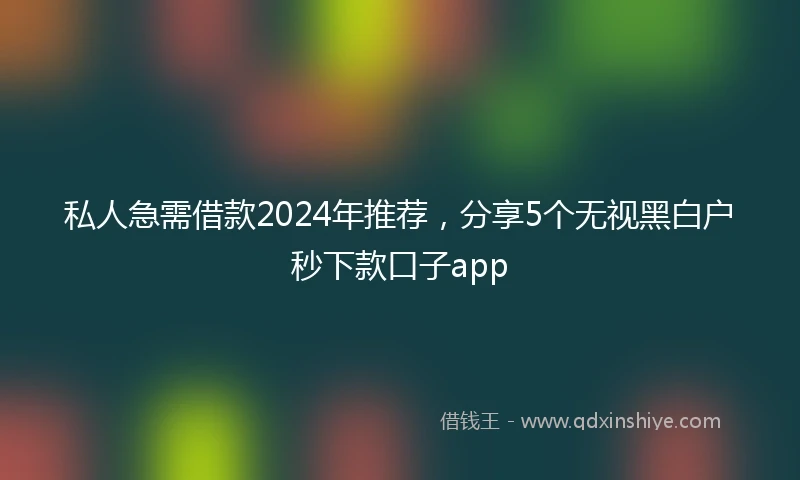 私人急需借款2024年推荐，分享5个无视黑白户秒下款口子app