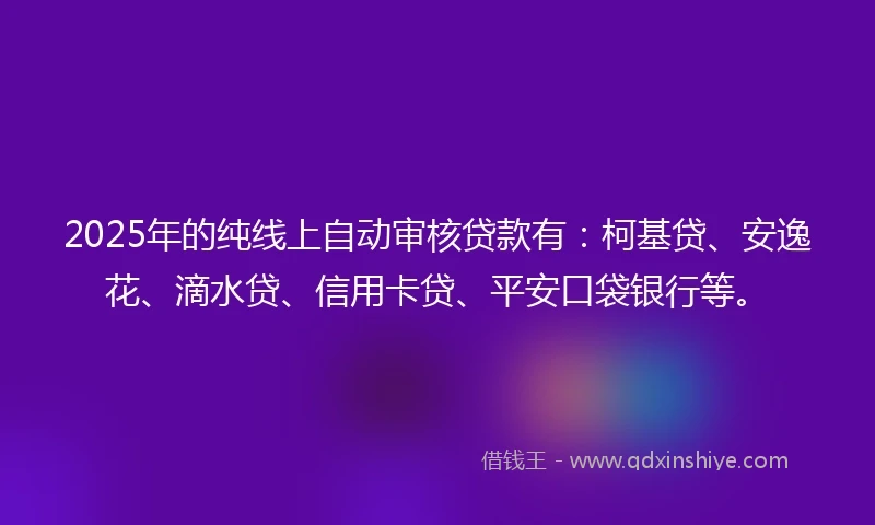 2025年的纯线上自动审核贷款有：柯基贷、安逸花、滴水贷、信用卡贷、平安口袋银行等。