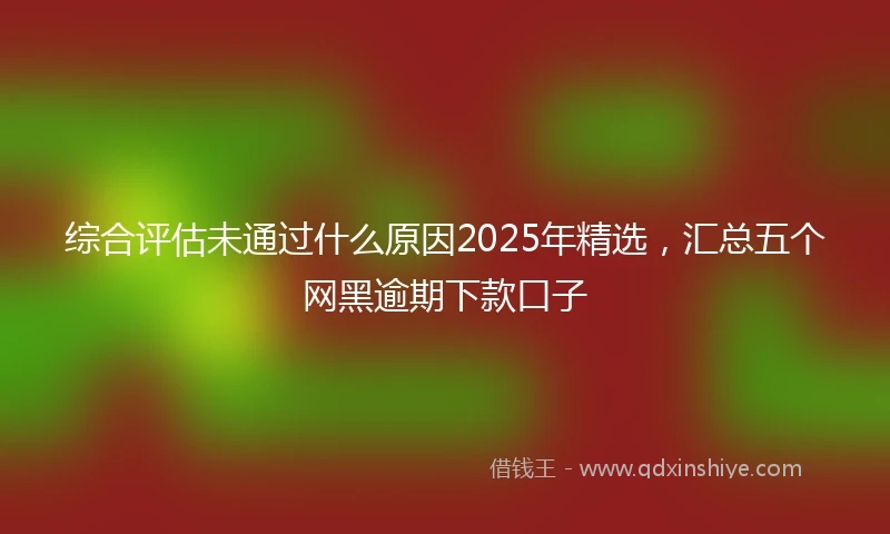 综合评估未通过什么原因2025年精选，汇总五个网黑逾期下款口子