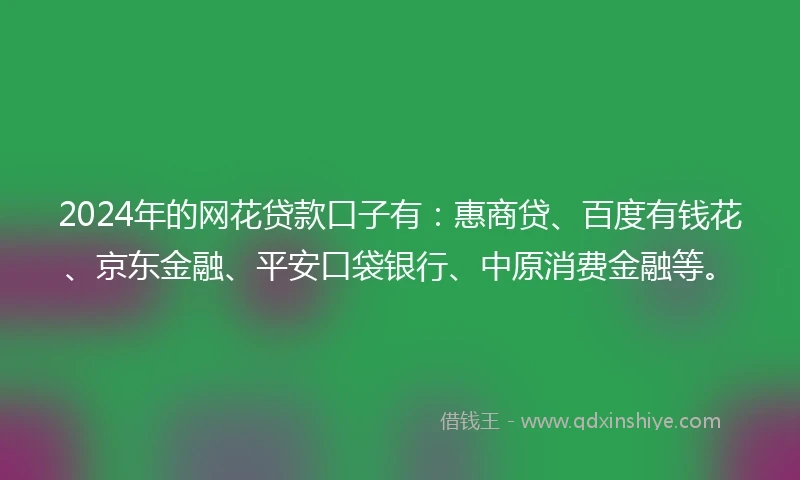 2024年的网花贷款口子有：惠商贷、百度有钱花、京东金融、平安口袋银行、中原消费金融等。