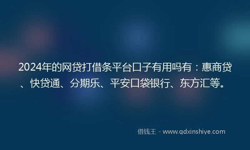 2024年的网贷打借条平台口子有用吗有：惠商贷、快贷通、分期乐、平安口袋银行、东方汇等。