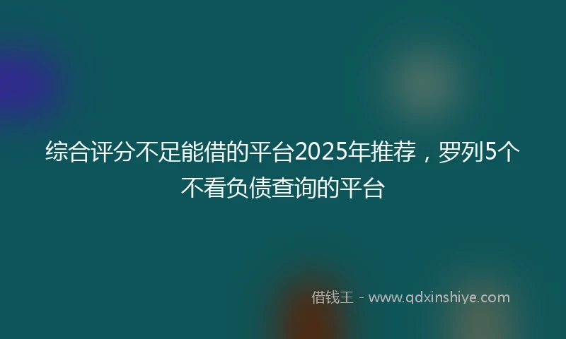 综合评分不足能借的平台2025年推荐，罗列5个不看负债查询的平台