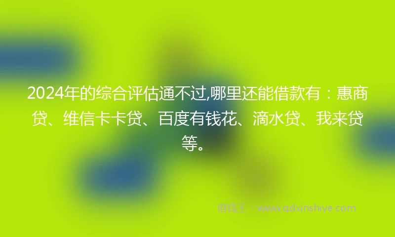 2024年的综合评估通不过,哪里还能借款有：惠商贷、维信卡卡贷、百度有钱花、滴水贷、我来贷等。