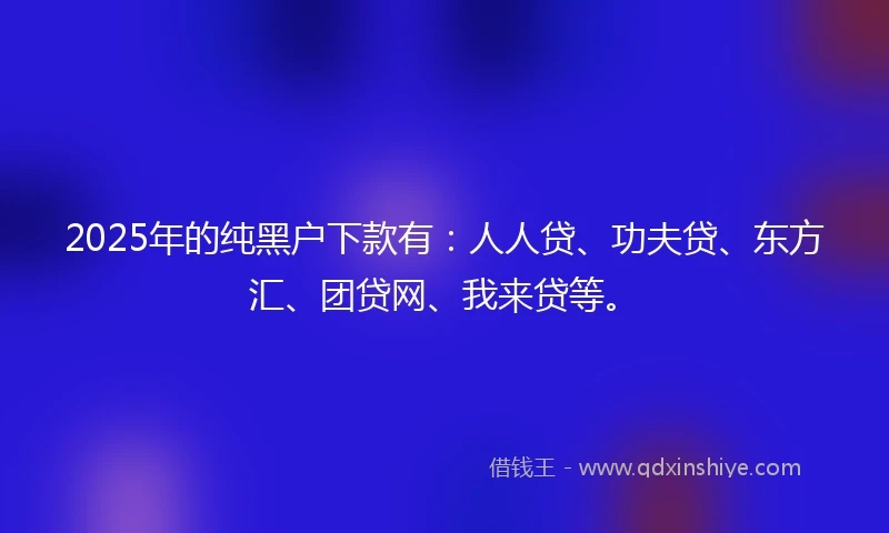 2025年的纯黑户下款有：人人贷、功夫贷、东方汇、团贷网、我来贷等。