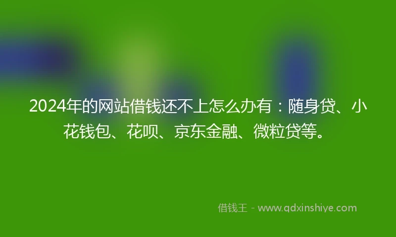 2024年的网站借钱还不上怎么办有：随身贷、小花钱包、花呗、京东金融、微粒贷等。