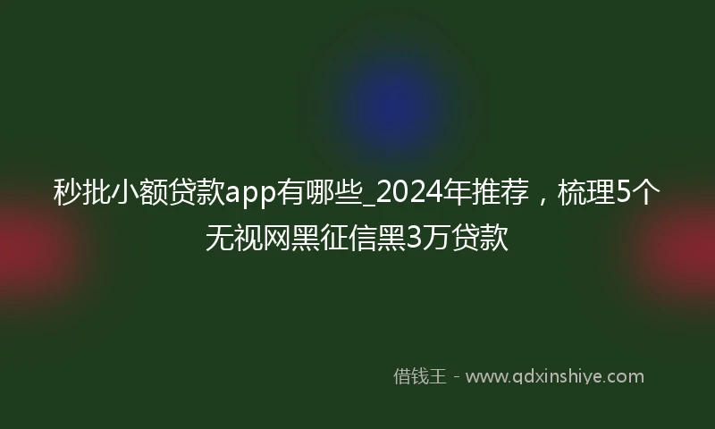 秒批小额贷款app有哪些_2024年推荐,梳理5个无视网黑征信黑3万贷款