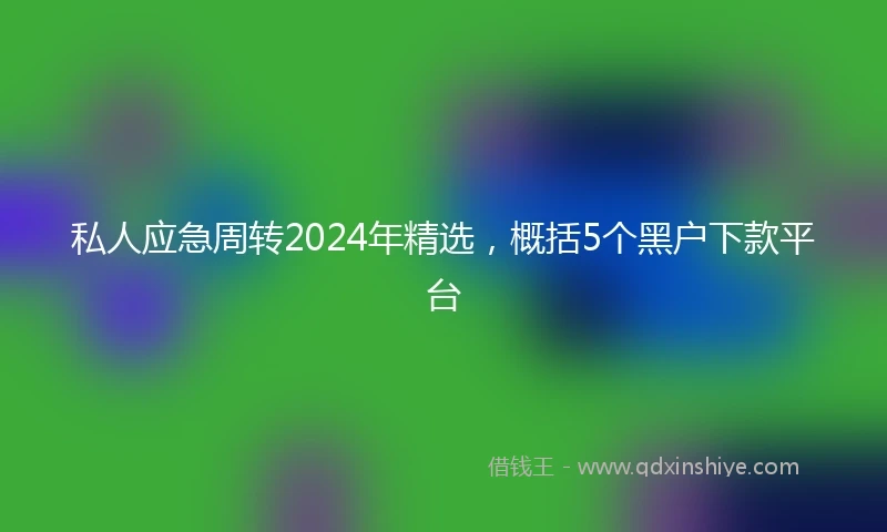 私人应急周转2024年精选，概括5个黑户下款平台
