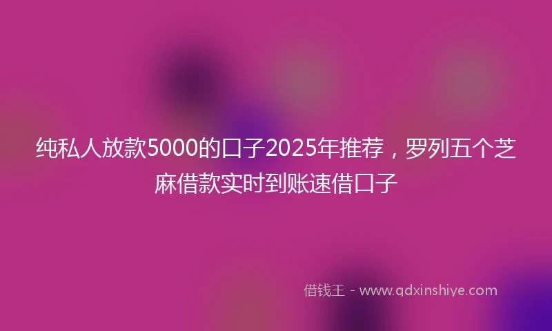 纯私人放款5000的口子2025年推荐，罗列五个芝麻借款实时到账速借口子