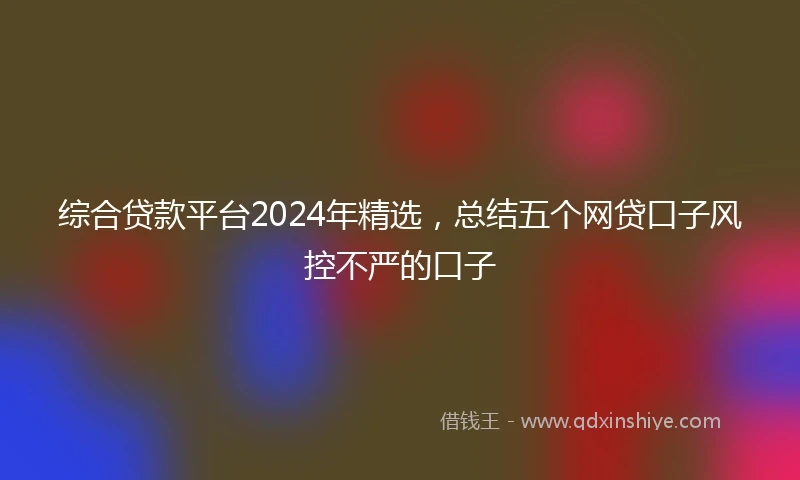 综合贷款平台2024年精选，总结五个网贷口子风控不严的口子