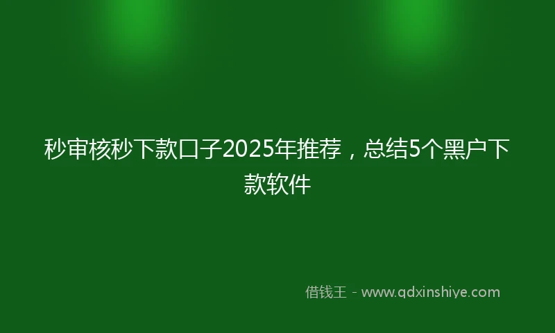 秒审核秒下款口子2025年推荐，总结5个黑户下款软件