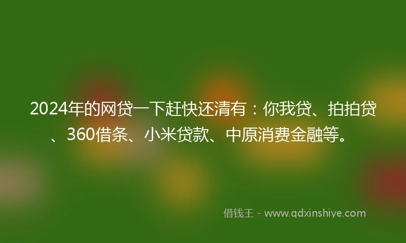 2024年的网贷一下赶快还清有：你我贷、拍拍贷、360借条、小米贷款、中原消费金融等。