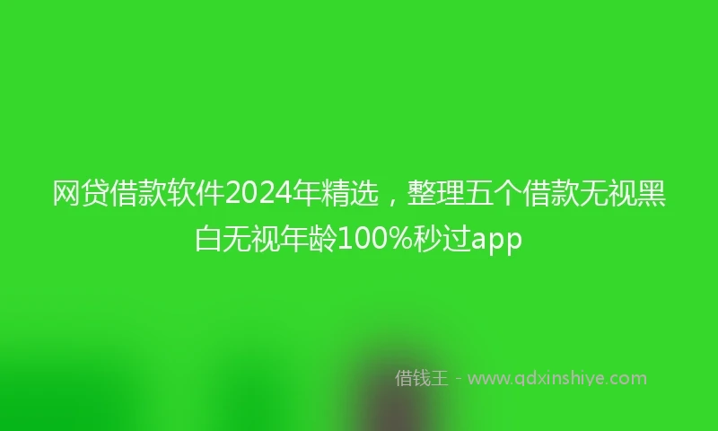 网贷借款软件2024年精选，整理五个借款无视黑白无视年龄100%秒过app