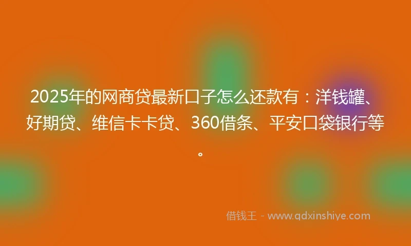 2025年的网商贷最新口子怎么还款有：洋钱罐、好期贷、维信卡卡贷、360借条、平安口袋银行等。