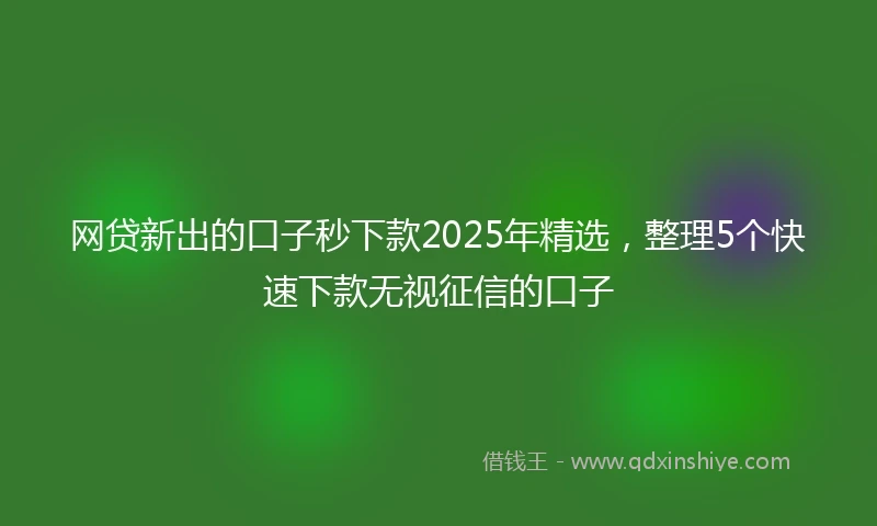 网贷新出的口子秒下款2025年精选，整理5个快速下款无视征信的口子