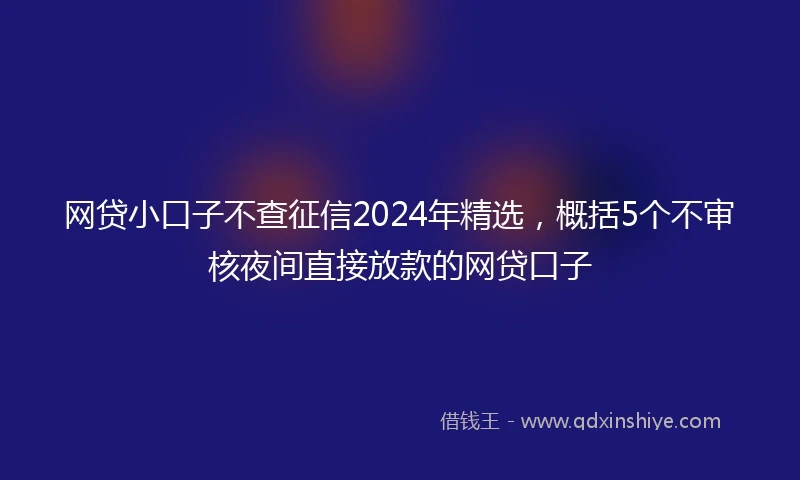 网贷小口子不查征信2024年精选，概括5个不审核夜间直接放款的网贷口子