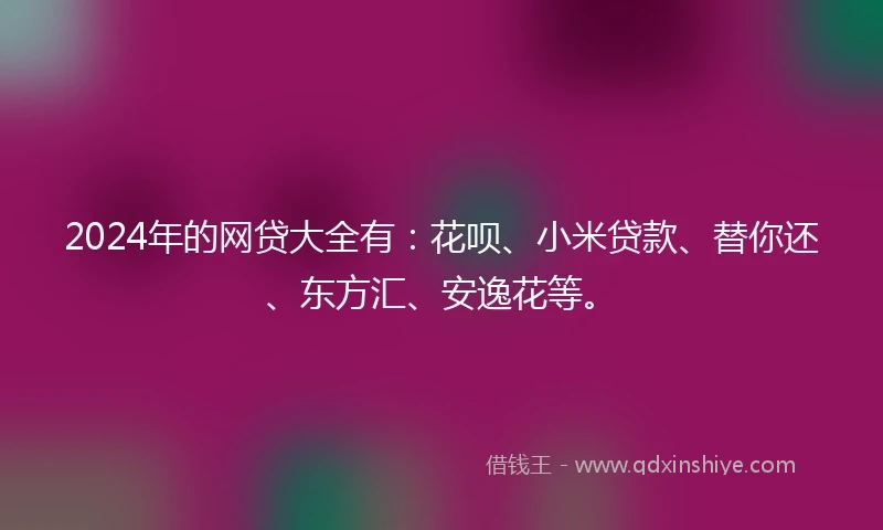 2024年的网贷大全有：花呗、小米贷款、替你还、东方汇、安逸花等。