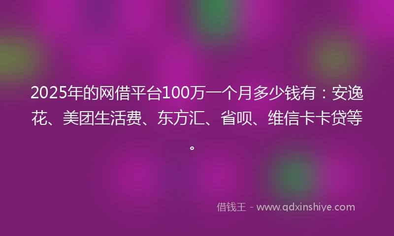 2025年的网借平台100万一个月多少钱有：安逸花、美团生活费、东方汇、省呗、维信卡卡贷等。