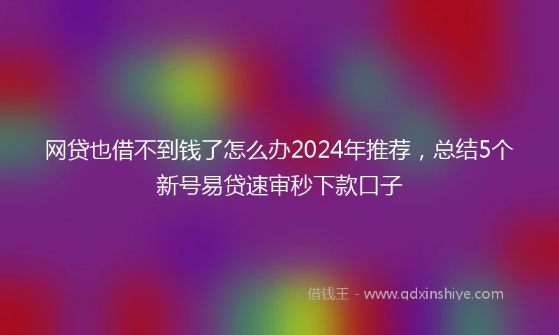 网贷也借不到钱了怎么办2024年推荐，总结5个新号易贷速审秒下款口子