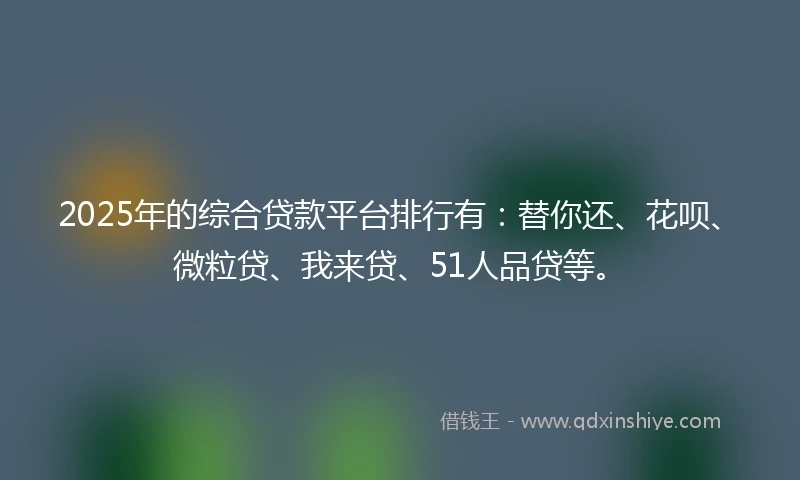 2025年的综合贷款平台排行有：替你还、花呗、微粒贷、我来贷、51人品贷等。