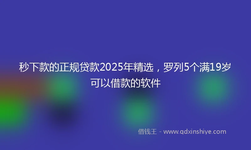 秒下款的正规贷款2025年精选，罗列5个满19岁可以借款的软件