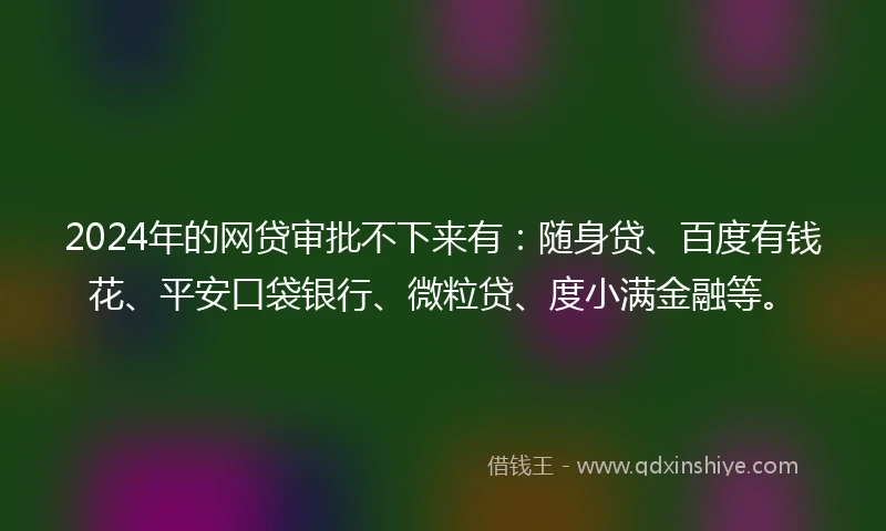 2024年的网贷审批不下来有：随身贷、百度有钱花、平安口袋银行、微粒贷、度小满金融等。