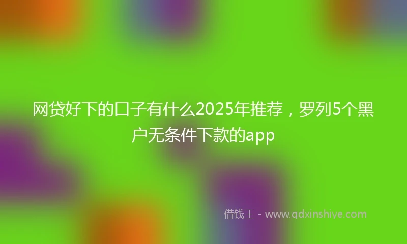 网贷好下的口子有什么2025年推荐，罗列5个黑户无条件下款的app