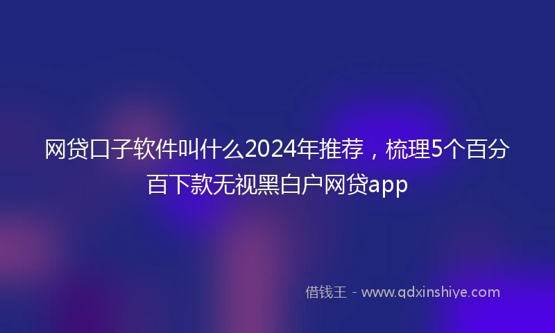 网贷口子软件叫什么2024年推荐，梳理5个百分百下款无视黑白户网贷app