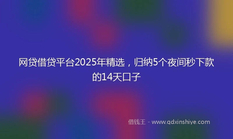 网贷借贷平台2025年精选，归纳5个夜间秒下款的14天口子