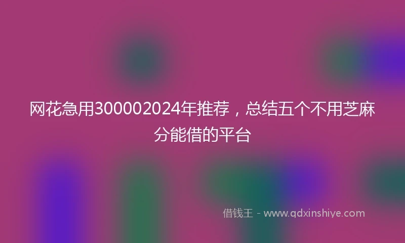 网花急用300002024年推荐，总结五个不用芝麻分能借的平台