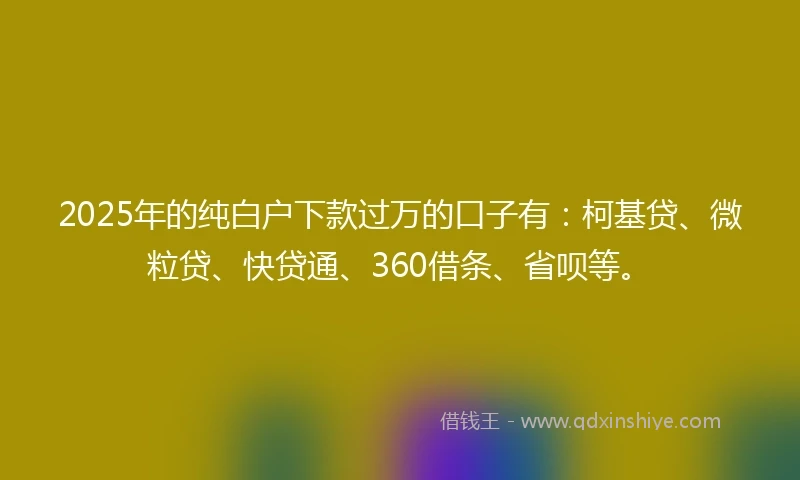 2025年的纯白户下款过万的口子有：柯基贷、微粒贷、快贷通、360借条、省呗等。