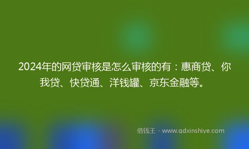 2024年的网贷审核是怎么审核的有：惠商贷、你我贷、快贷通、洋钱罐、京东金融等。