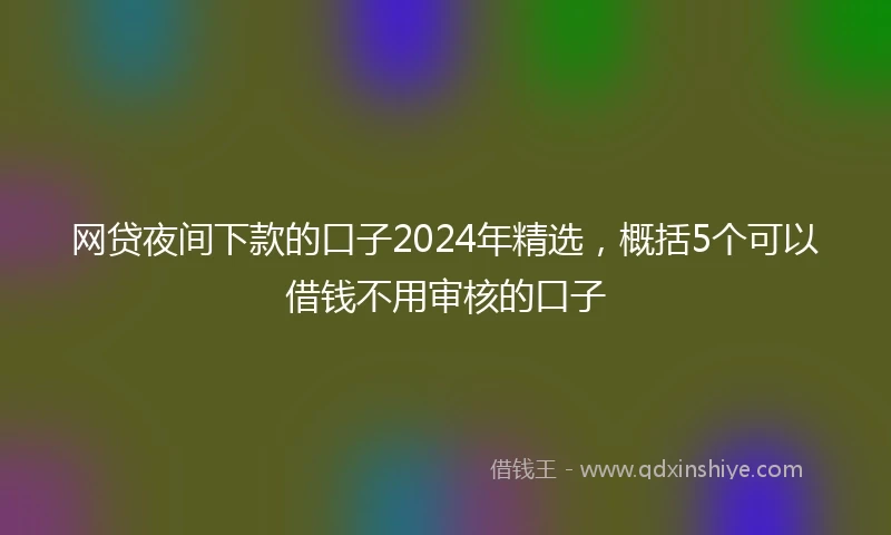 网贷夜间下款的口子2024年精选，概括5个可以借钱不用审核的口子