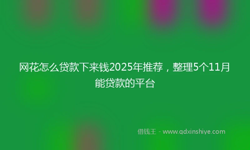 网花怎么贷款下来钱2025年推荐，整理5个11月能贷款的平台
