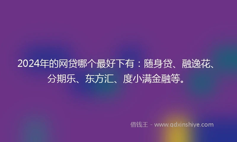 2024年的网贷哪个最好下有：随身贷、融逸花、分期乐、东方汇、度小满金融等。