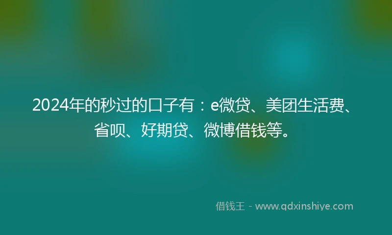 2024年的秒过的口子有：e微贷、美团生活费、省呗、好期贷、微博借钱等。