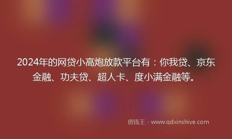 2024年的网贷小高炮放款平台有：你我贷、京东金融、功夫贷、超人卡、度小满金融等。