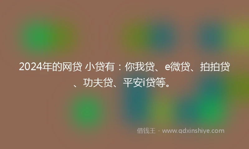 2024年的网贷 小贷有：你我贷、e微贷、拍拍贷、功夫贷、平安i贷等。