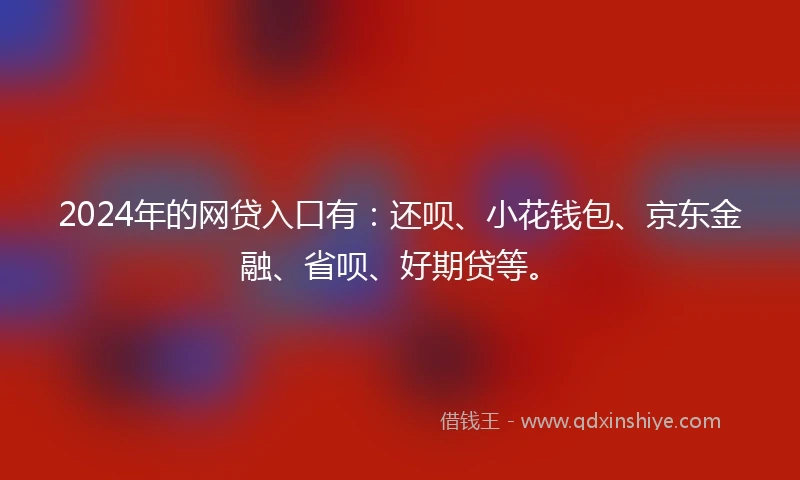 2024年的网贷入口有：还呗、小花钱包、京东金融、省呗、好期贷等。