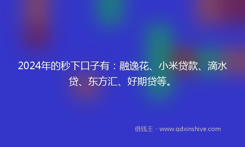 2024年的秒下口子有：融逸花、小米贷款、滴水贷、东方汇、好期贷等。