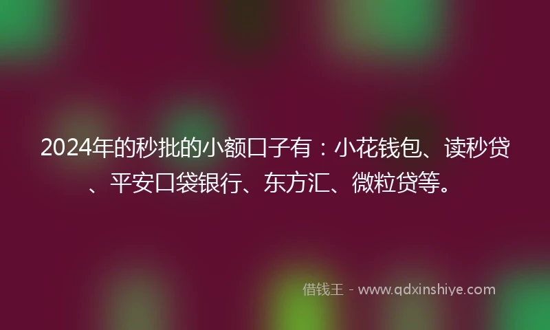 2024年的秒批的小额口子有：小花钱包、读秒贷、平安口袋银行、东方汇、微粒贷等。
