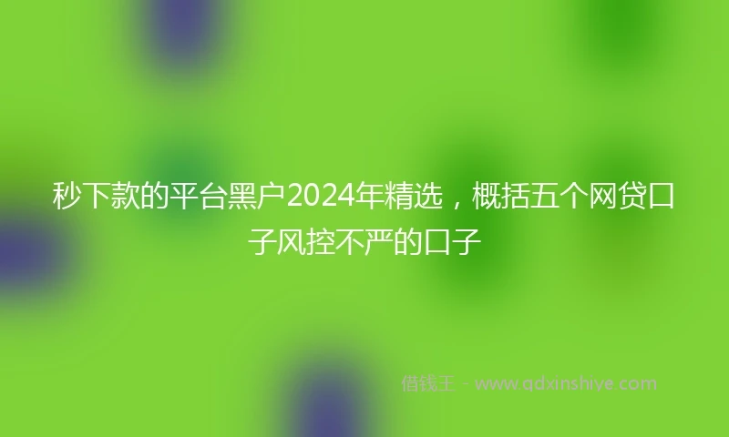 秒下款的平台黑户2024年精选，概括五个网贷口子风控不严的口子