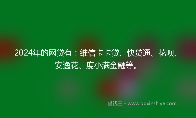 2024年的网贷有：维信卡卡贷、快贷通、花呗、安逸花、度小满金融等。