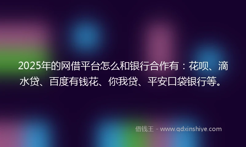 2025年的网借平台怎么和银行合作有：花呗、滴水贷、百度有钱花、你我贷、平安口袋银行等。