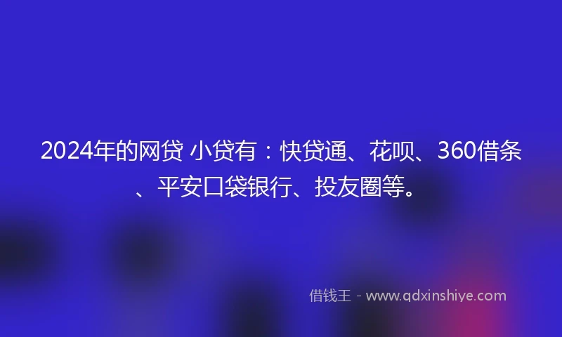 2024年的网贷 小贷有：快贷通、花呗、360借条、平安口袋银行、投友圈等。