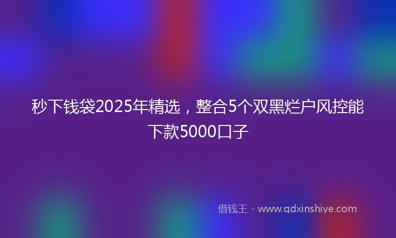 秒下钱袋2025年精选，整合5个双黑烂户风控能下款5000口子
