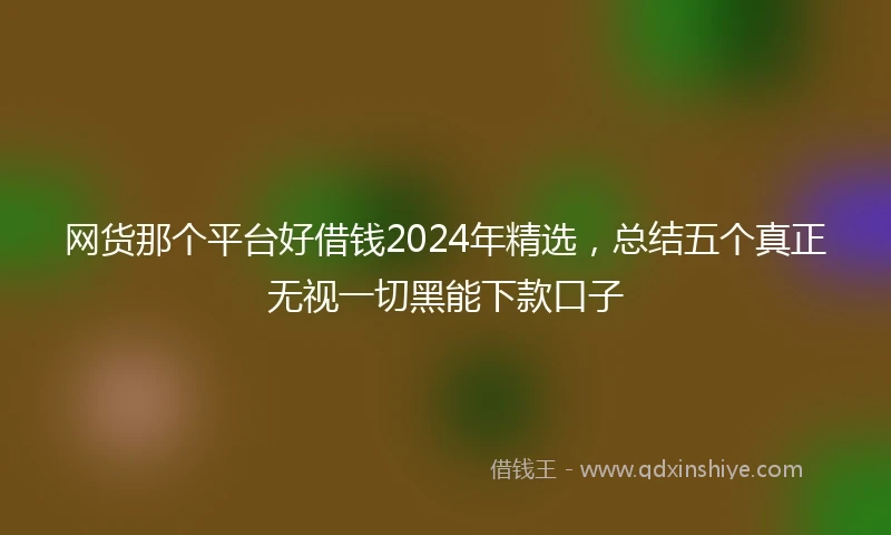 网货那个平台好借钱2024年精选，总结五个真正无视一切黑能下款口子