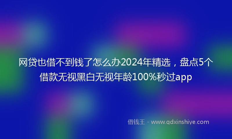 网贷也借不到钱了怎么办2024年精选,盘点5个借款无视黑白无视年龄100%秒过app