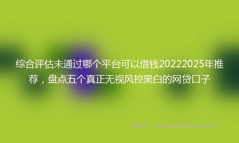 综合评估未通过哪个平台可以借钱20222025年推荐，盘点五个真正无视风控黑白的网贷口子